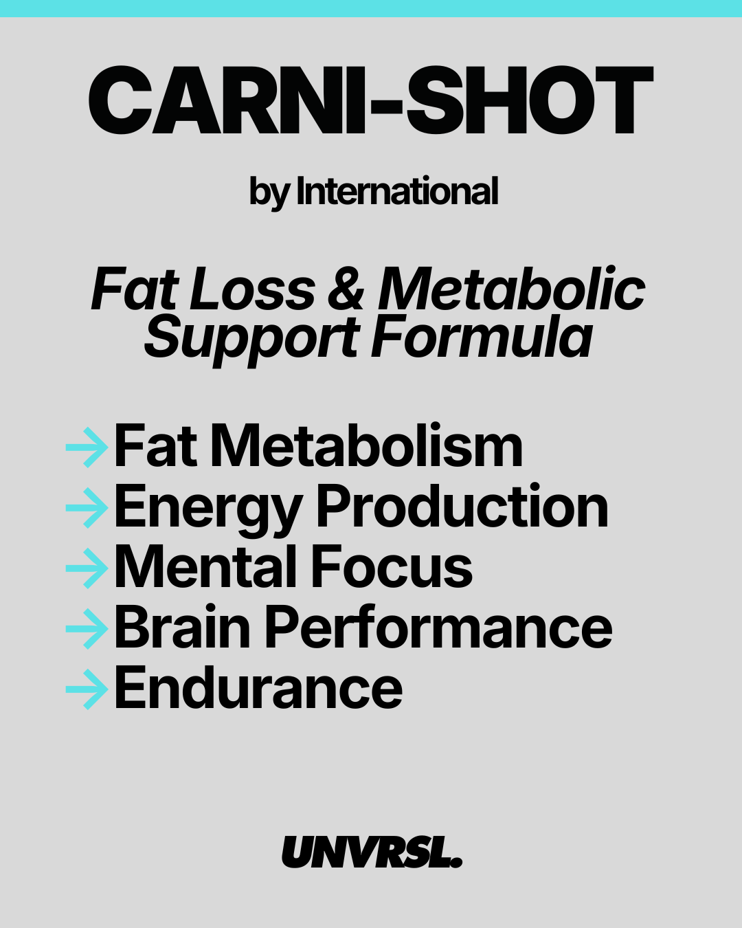International Protein - Carni Shot Fat Burner